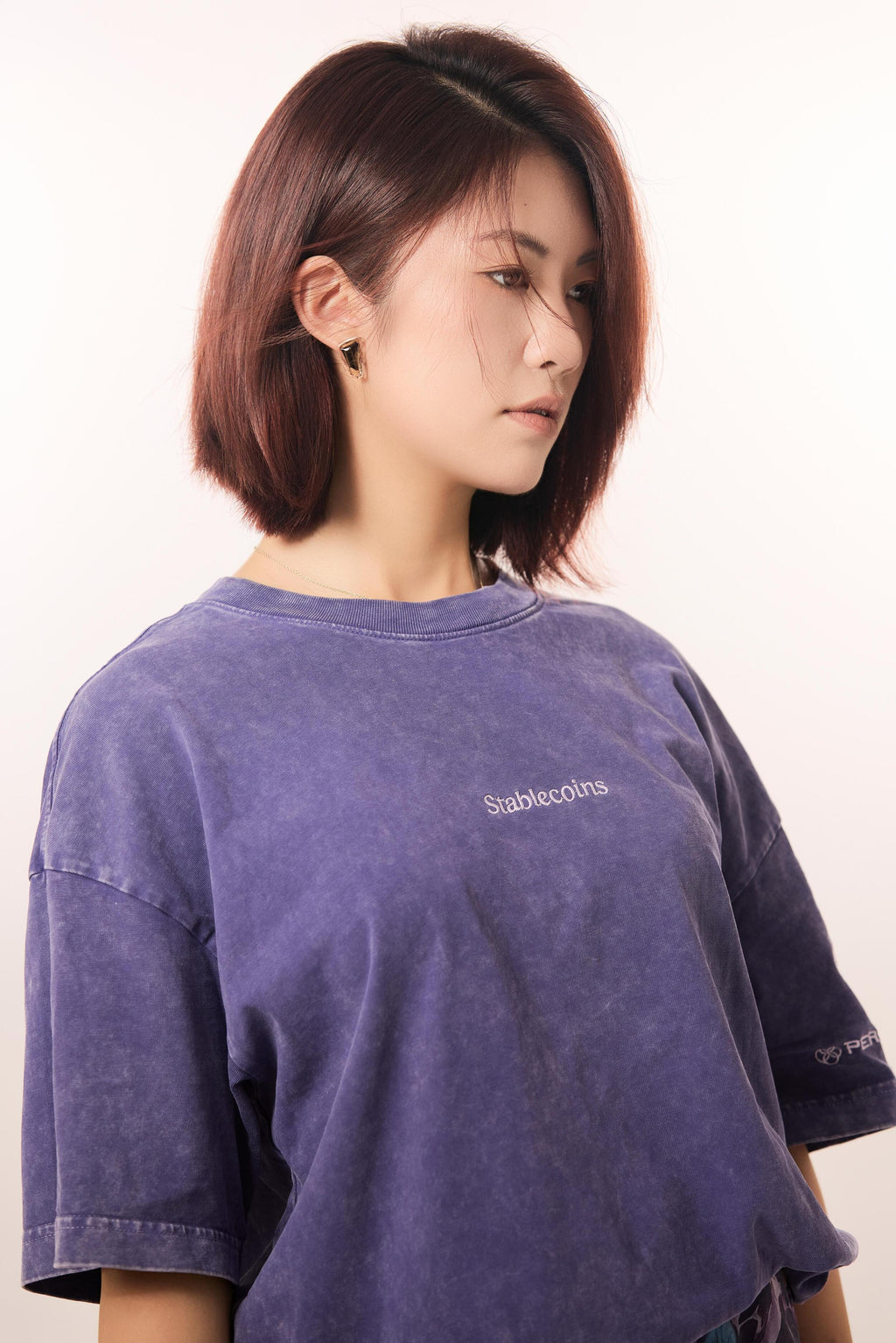 Stone washed Stablecoins Tee